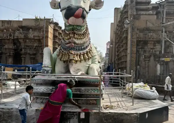Madurai Stadt Bull